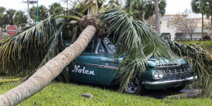 Are there Public Adjusters for cars in South Florida?