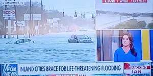 Hurricane Ian - Total Loss Flooded Cars in Florida